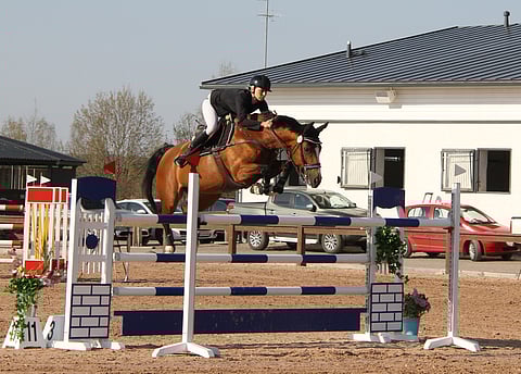 Venla Keränen ja Dorette B Korpikylässä vuosi sitten keväällä.