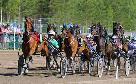 Willow Pridelta pitää odottaa Killerin Eliitissä keulavoittoa.