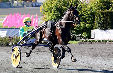 Vivid Wise As voitti jälleen Grand Critérium de Vitessen. Kuva: Anu Leppänen