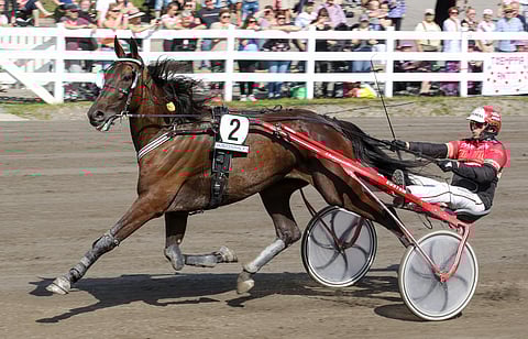 Albino Brave ja Tapio Perttunen pystyvät lyömään etukäteen paljon pelatun Prodigy Sharkin.