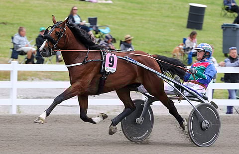 Always Ready ihastutti Suur-Hollolan Nelivuotispokaalissa ja voitti sen ajalla 12,9ake,.