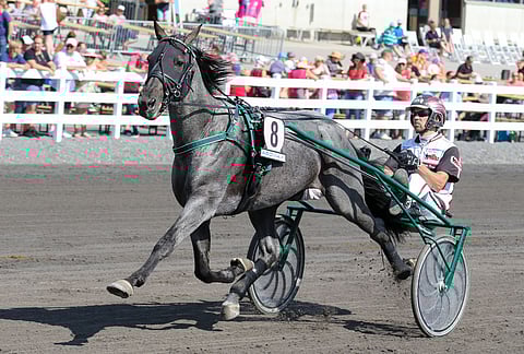 Antonio Tabac ja Mika Forss ovat Bodenin hallitsijat. Kuva: Anu Leppänen