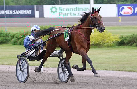 Anything For Youn rattailla on nähty vuosien saatossa useampi kuski. Kuvassa hevosta ohjastaa Jarmo Saarela.