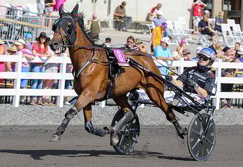 Callela Ikaros palasi voittokantaan Joensuussa. Siellä ruunaa kuskasi illan aikana neljä täysosumaa ajanut Santtu Raitala.