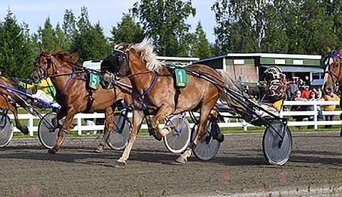 Harri Kotilaisen ajama I.P. Vapari voitti niukasti ennen uloimpana kirinyttä Malkkinia, välissä kiertänyttä Ponnen Aatosta ja sisäradan Pertturia.