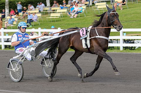 Makethemark piti Petri Salmelaa otsikoissa vuosikaudet.