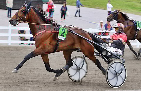 Mask Off metsästää seuraavaksi menestystä St Michelistä.