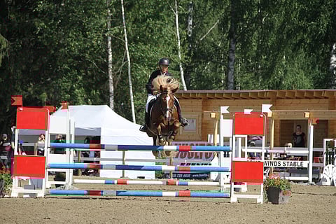 Niisun Nestorilla oli menohaluja. Arkistokuva.