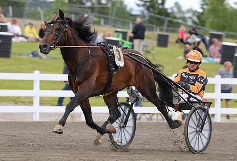 Tommi Kylliäinen ohjasti One Directionia Suur-Hollola-ajon finaalissa, mutta Porissa rattaille hyppää Iikka Nurmonen.