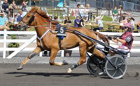 Viimekesäisestä hankosidevammasta toipuneella Raggarlla on edessä uusi sairasloma, mahdollisesti Reima Kuislan Seinäjoen tallissa.