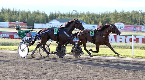 Jukka Torvisen kannustama Peanuts haastoi tosissaan, mutta Staro Miamin ote piti.