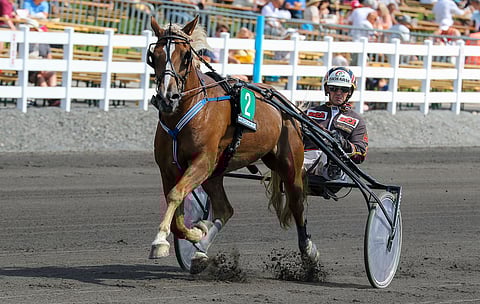 Tvitterin suoritustaso on ailahdellut, ja esitysten tasaantumista haetaan nyt "orivapaasta" pikkutallista.