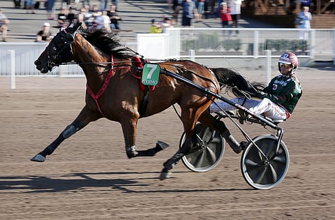 Por Nie Rock ei väsynyt pitkällä matkalla.