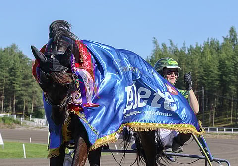 An-Dorra sairastui huippuiskussa ollessaan. Tammakriteriumin voittajan oli määrä startata tällä viikolla Vermossa. Kuva: Anu Leppänen
