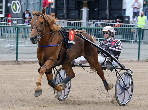 Caijuksen valmistautuminen kesän koitoksiin otti takapakkia.