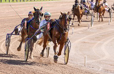 Janne Räisäsen voittotehtailun aloitti Einon Into, jonka kolmas emä on itse periyttäjätamma Marine.
