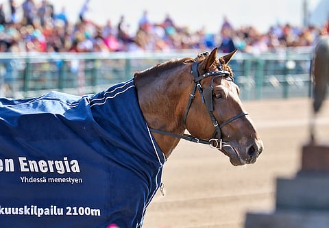 Evartti on parhaillaan Viikissä heräämössä. Arkistokuva: AL