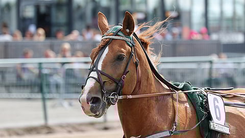 Joriinin Oulun reissu vaihtui klinikkareissuun ensi viikolla.