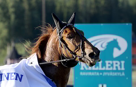 Mitori toimi Mika Mäkelän lipunkantajana Pilvenmäellä sunnuntaina.