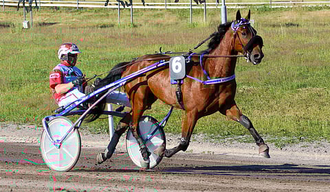 Viisi kilpailua, viisi voittoa.