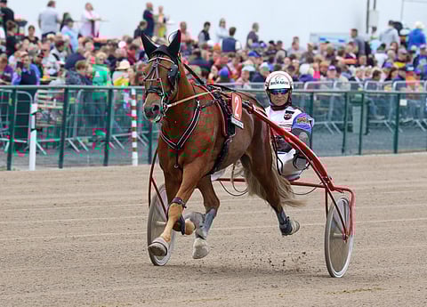 Tähen Toivomus on mielenkiintoinen ideavarma Vermon perjantain T75-kierrokselle. Peliaika päättyy illan 4. lähdön startatessa noin klo 19.30. Vermon kaikissa lähdöissä on tänään jossain pelimuodossa bonuksia.