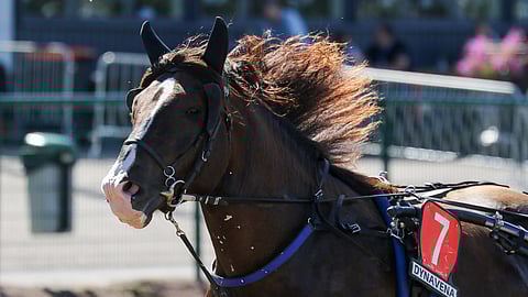 Ville Kallen kyvyt ovat huippuluokkaa, mutta laukat ovat hidastaneet sen menoa.
