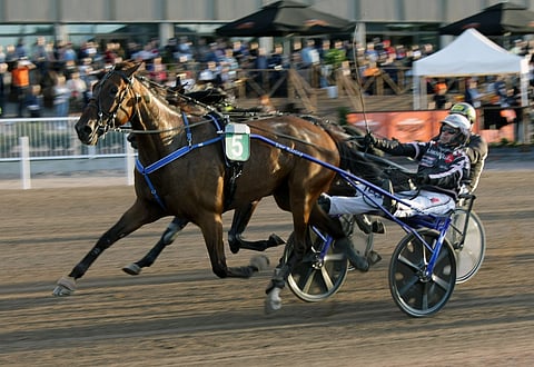 American Hero torjui kovan haasteen heittäneen Morrisin kaksintaistossa.