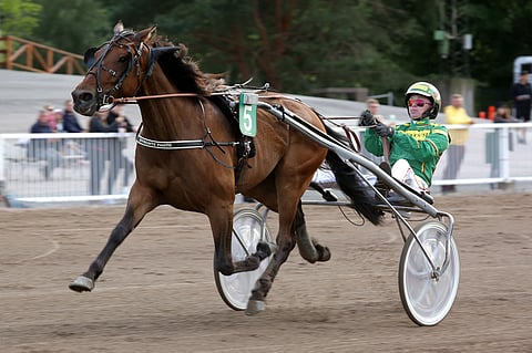 Effronte Photo on päivän paras idea.