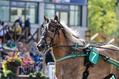 Arkenttiina juoksi yllätysvoittoon Jokimaan Toto5-illassa ja teki hienon ajan hölkkätyyliin.