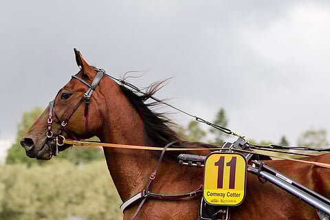 Comway Cotter pyyhältää huomenna Vermossa mailille kakkosradalta. 10 prosenttia mahdollisesta palkinnosta siirtyy hyväntekeväisyyteen. Kuva: Anu Leppänen