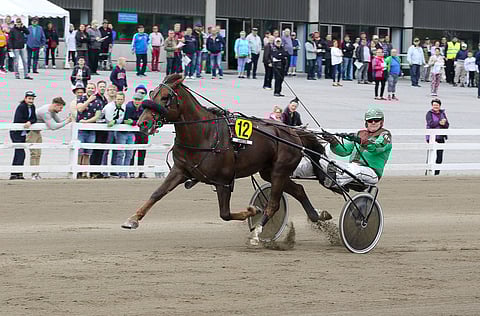 Issakan Valo (kuvassa edellisen valmentajansa Raineri Puikkosen ajamana) on edullinen varma Magic Mondayn Toto65-peliin, jossa on jaossa 50 000 euroa ekstrarahaa.