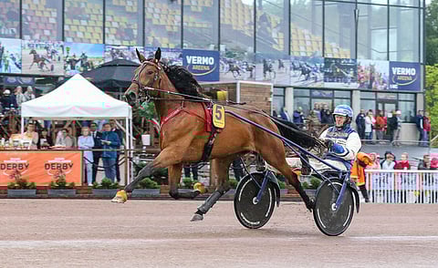 Mascate Matchin juoksut voilokki selässä on nyt juostu, ja edessä on siitosura.