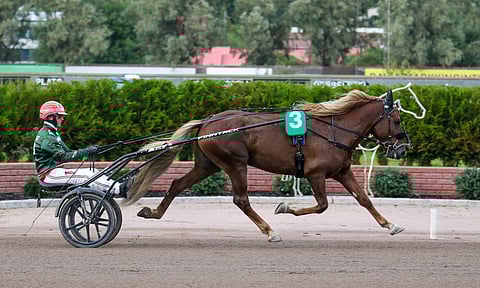 Parvelan Retu äänestettiin Kuukauden ravuriksi.
