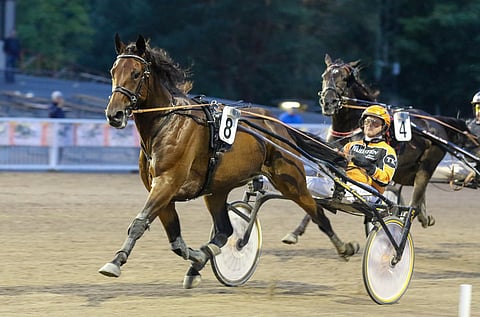 Promptus on sopiva tukipilari.