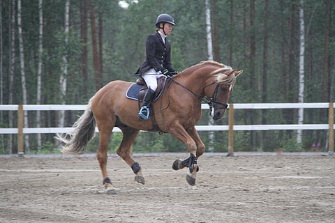 Hiljalan Fantom on raamikas näky. Kuva estemestaruuksista.