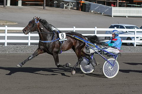 Whogonow kiri lopussa voittoon komealla ajalla.