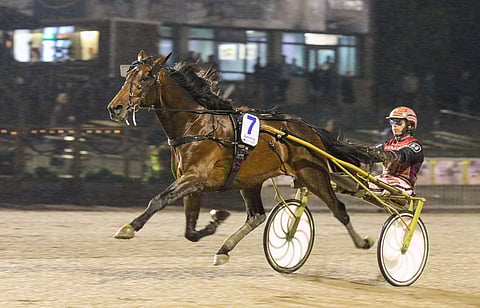 Zarenne Fas on valmis puolustamaan Finlandia-ajon viimevuotista voittoaan, jos kutsu tulee.