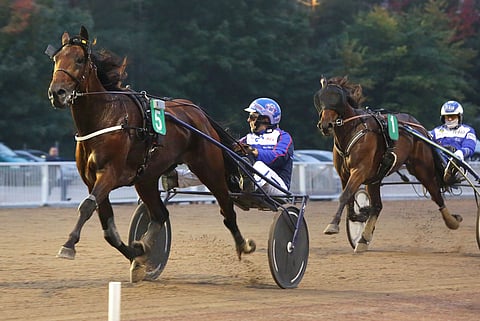 Hannu-Pekka Korpi oli ennen lähtöä hieman mietteissään Arctic Loverin lyhyestä starttivälistä, mutta ori ei siitä ainakaan huonoa tykännyt.