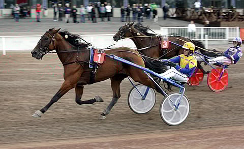 Zumu De La Vega ja Kari Venäläinen pyrkivät jatkamaan voittojen tiellä Vermossa.