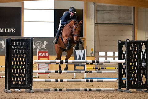 FWB-ruuna Cappuccino Friend oli paras Ratsastuskeskus Ainossa järjestetyssä Laatuarvostelussa.