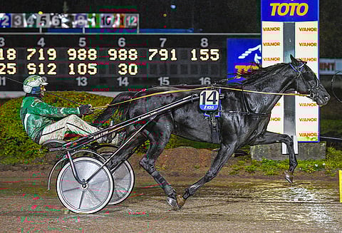 Ari Moilasen ajama Ready Cashin poika Consalvo häikäisi Kouvolassa torstai-iltana. Kuva: Jari Heikkinen.