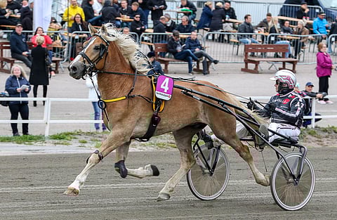 Antti Teivainen ohjasti Mika Mäkelän ohjastaman Elanin Satakunta-ajon finaaliin.