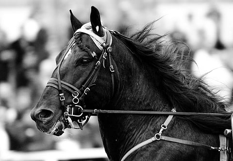 Järvsöfaks. Kuva HU arkisto