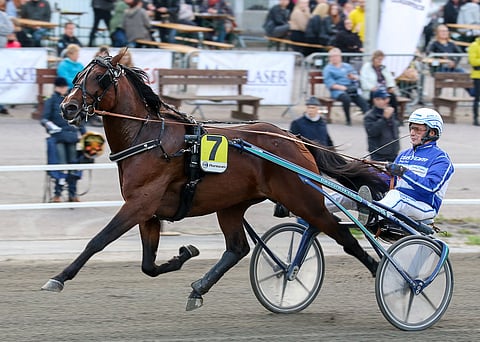 Sahara Jaeburn palaa radoille. Kuva: Anu Leppänen