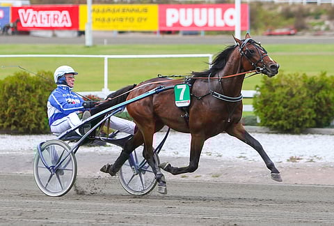 Sahara Jaeburnin numero ei parane kriteriumin karsinnoista finaaliin, mutta lähtörata paranee Road To Hillin poisjäännin myötä pykälän.