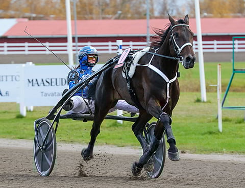 Sahara Peyoten kausi jatkuu näillä näkymin parin viikon päästä Axevallassa.