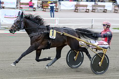 Santtu Raitalalta kysyttiin mielipidettä Shotproofista kauppoja hierottaessa, sillä Raitala on ajanut ruunalla kilpaa 19 kertaa.