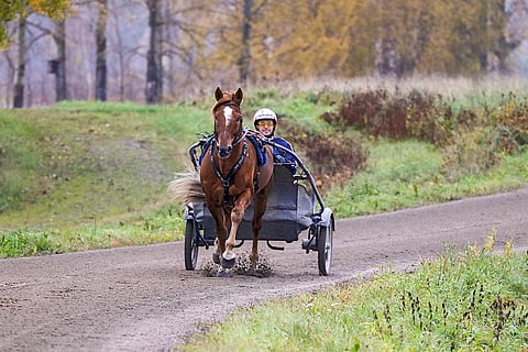 Vaellus ja Timo Vääränen ovat melkoinen pari. Kuva: Anu Leppänen