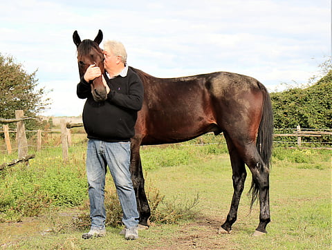 Holger Ehlert on uskonut koko kauden Bleff Dipaan. Luotto ja kova työ palkittiin derbyssä.