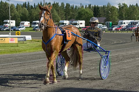 Lumi-Hessun ura päättyi vuoteen 2018. Voittosummaksi jäi 75 620 euroa ja ennätykseksi 22,0.